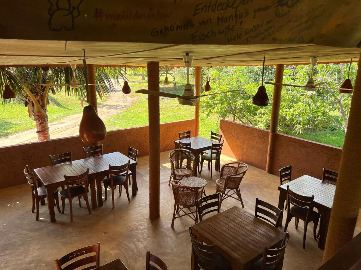 Yala Peace Cottages Tissamaharama Exterior foto