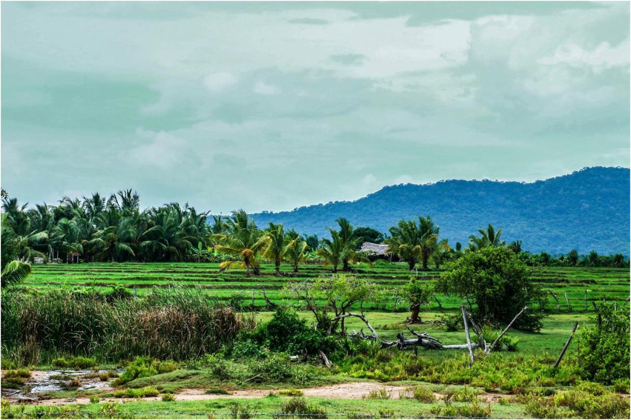 Yala Peace Cottages Tissamaharama Exterior foto